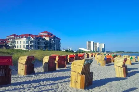  Strandburg-Küken