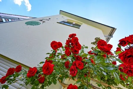 Fassade / Eingang Apartment 7/8 DG mit Bergblick