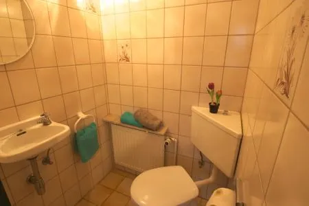 Gäste-WC Ferienhaus Heying