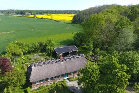 Wald, Felder und Wiesen rund um die Reetdachkate Reetdachkate Fuchsgraben