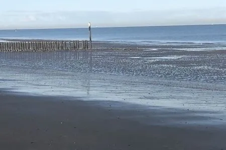 Breskens Chalet Zeeland-Haus mit Zaun Hausnr. B067 Breskens / Zeeland - 