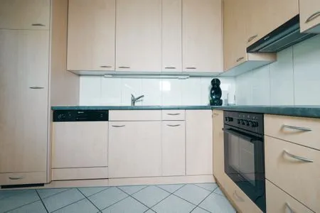 Küche / Küchenzeile Apartment Schwendihaus