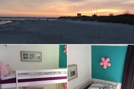  Strandmuschel Fehmarn