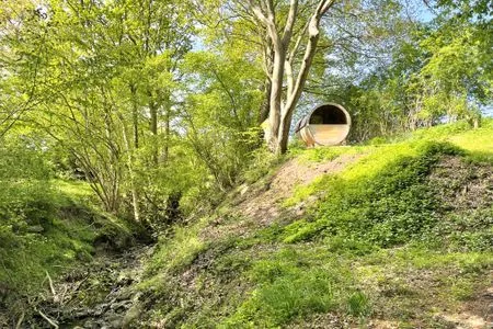 Sauna Reetdachkate Fuchsgraben