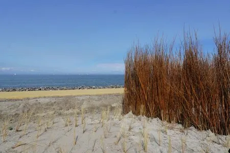 Enkhuizer Strand BeachHouse Strandgut mit Zaun Nr. 400 Enkhuizen / IJsselmeer - 