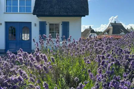 Gartenblick Ferienhaus Schilfrohrsänger 30