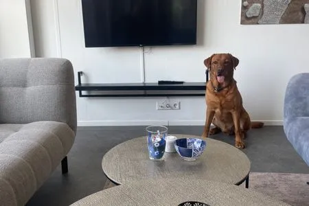 Marina Strandbad Chalet Inselperle mit Zaun Nr. 84 Olburgen / Gelderland - 