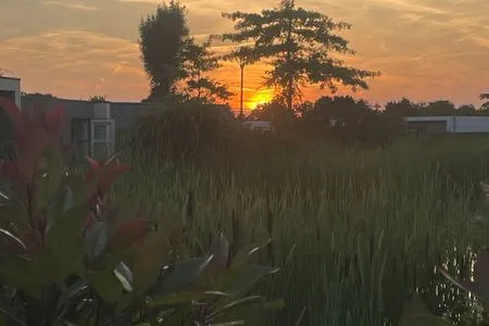 Marina Strandbad Chalet Inselperle mit Zaun Nr. 84 Olburgen / Gelderland - 