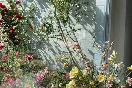  Ferienhaus Heidelodge