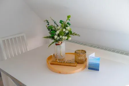 Küche / Küchenzeile Seemöwe