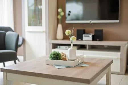 2 Ferienwohnung Müritztraum Hafenresidenz Detailaufnahme Wohnzimmer  Müritztraum