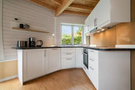 4 Ferienhaus Kirana - Kugelhaus am Tollensesee - große offene Küche mit Vollausstattung  Kirana