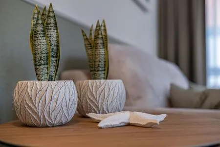 Dekoration Residenz am Strand Wohnung 4-61