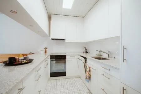 Kitchen Apartment Enzian