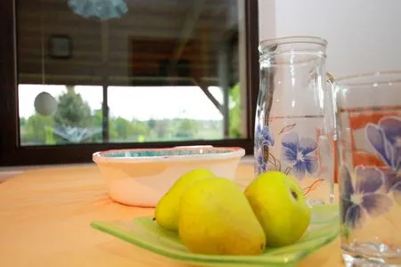  Ferienhaus nahe Malchower See