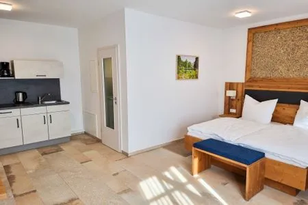  Appartement 1 mit Terrasse