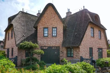 Hauptansicht Lachmöwe