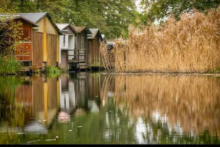 2 Ferienhaus Tamika am Tollensesee - am Tollensesee  Tamika