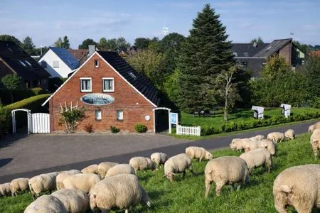 Hauptansicht Baltrum