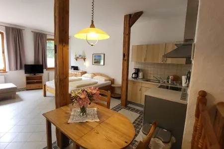 Küche / Küchenzeile Pension Schmelzer Wohnung 15