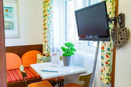 Wohnzimmer, Schlafsofa und Fernseher Soldanella 1 by Alpenidyll Apartments