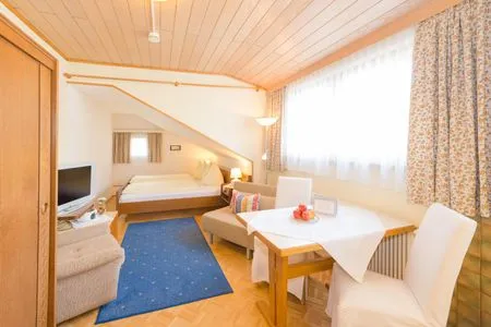 Bedroom and living area with a TV City Life 5 by Alpenidyll Apartments