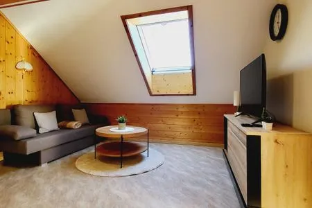 Living room, sofa bed and TV Fischbacher App. 3 by Alpenidyll Apartments