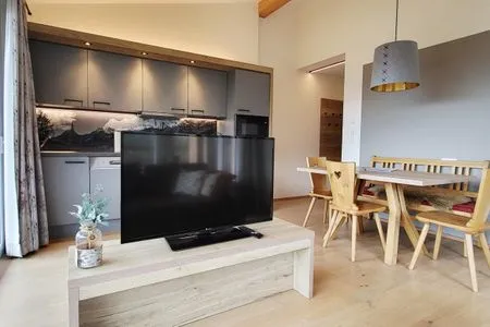 Living room, sofa bed and TV Mountain View by Alpenidyll Apartments