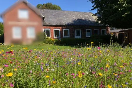 Ferienwohnung für bis zu 4 Personen (und Hund) mit Garten Krischan - Ruhige Ferienwohnung unweit vom Meer