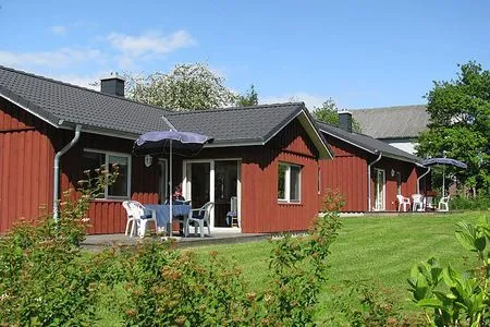 Hauptansicht Seeschwalbe