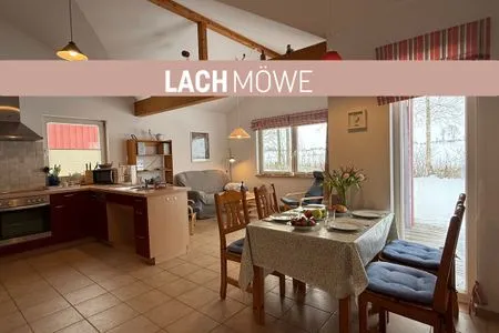 Wohnzimmer Lachmöwe