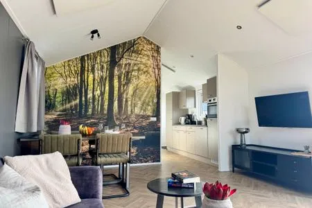  EuroParcs De IJssel Eilanden Chalet Reevemeer mit Steg IJE511