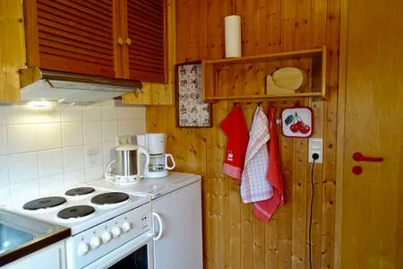 Küche / Küchenzeile Tannengrün