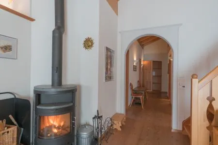 Kamin-/Ofen Trais Fluors C3