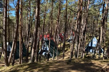  Waldidylle genießen – gemütliche Finnhütte nur wenige Schritte vom Strand - Moritz