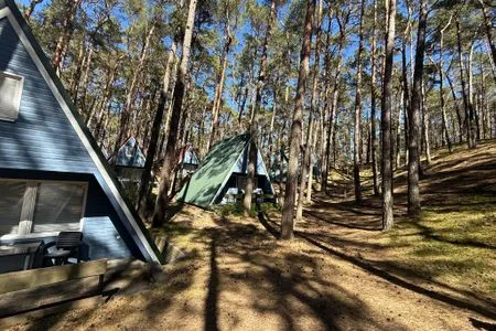  Finnhütte im Kiefernwald – Ruhe und Natur pur für entspannte Tage - Mica