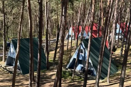  Ruhe & Natur pur – kleine Finnhütte zum Entspannen und Durchatmen - Nemo