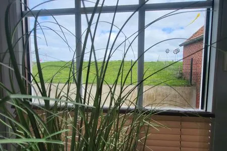 Blick auf Sehenswürdigkeit Wohnung Deichkoje