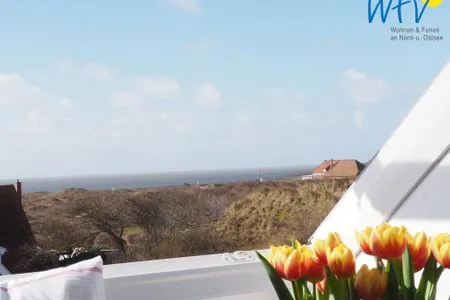 Ausblick Wattenmeer Haus Hammersee Ferienwohnung Utkiek