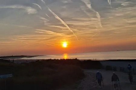Breskens Chalet Strand Oase mit Zaun & Sichtschutz J281 Breskens / Zeeland - 