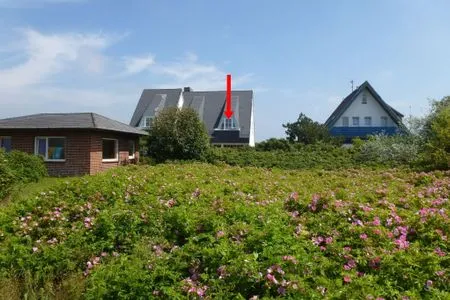 Hauptansicht Haus Dünenrand, App. 2