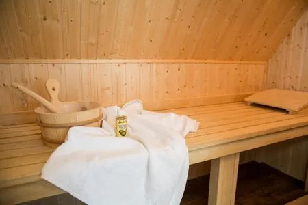 Sauna Ferienhaus Schilfrohrsänger 43