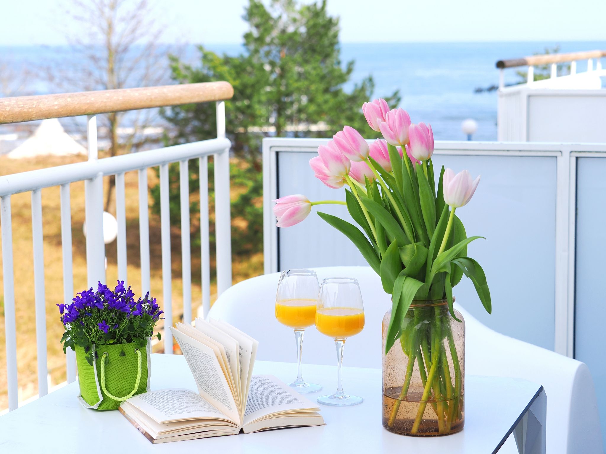 Kaiservillen Heringsdorf 1-Raum-Ferienwohnung mit Balkon (S7a) Insel Usedom - Balkon