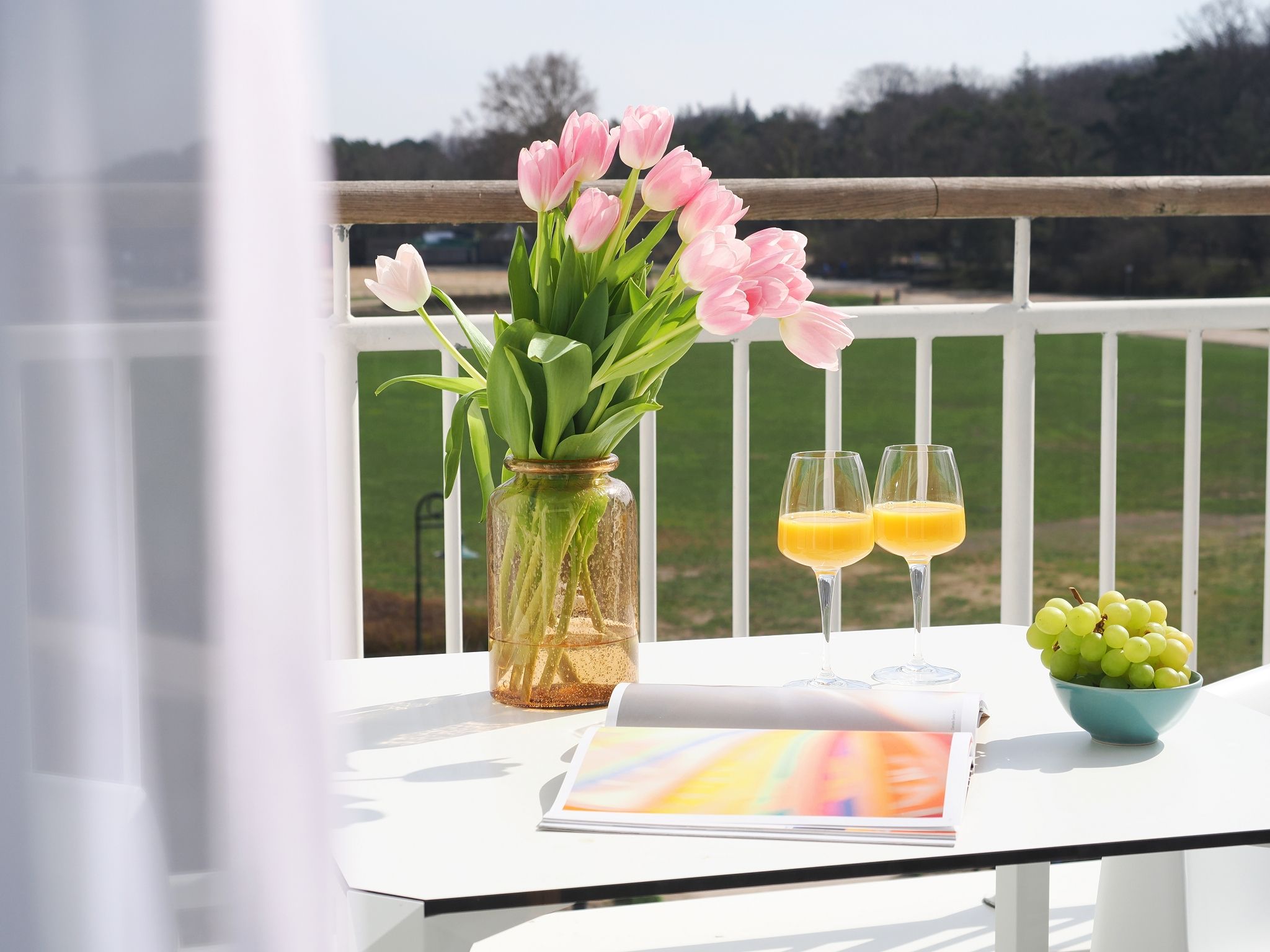 Kaiservillen Heringsdorf 1-Raum-Ferienwohnung mit Balkon zur Seeseite (S14) Insel Usedom - Balkon