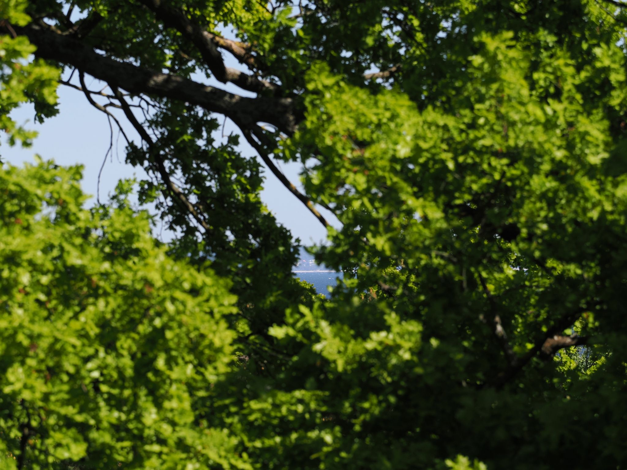 Kaiservillen Heringsdorf Ferienwohnung mit 2 Schlafzimmern und Balkon (D213) Insel Usedom - Gartenblick