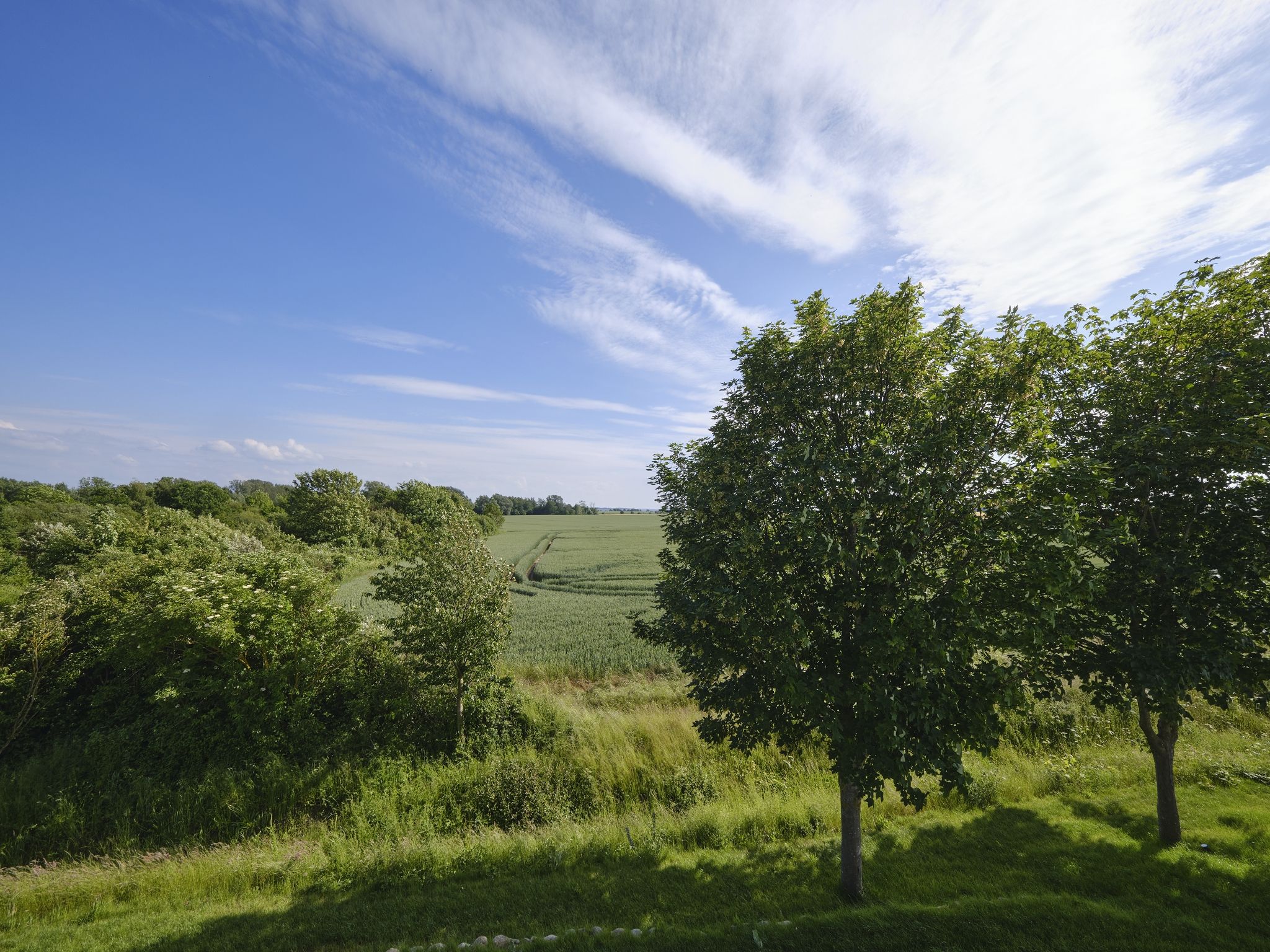 LuxusPlus Reetdachvilla mit 4 Schlafzimmern, Außensauna, Loungebereich und Kamin (H05) - Landschaft