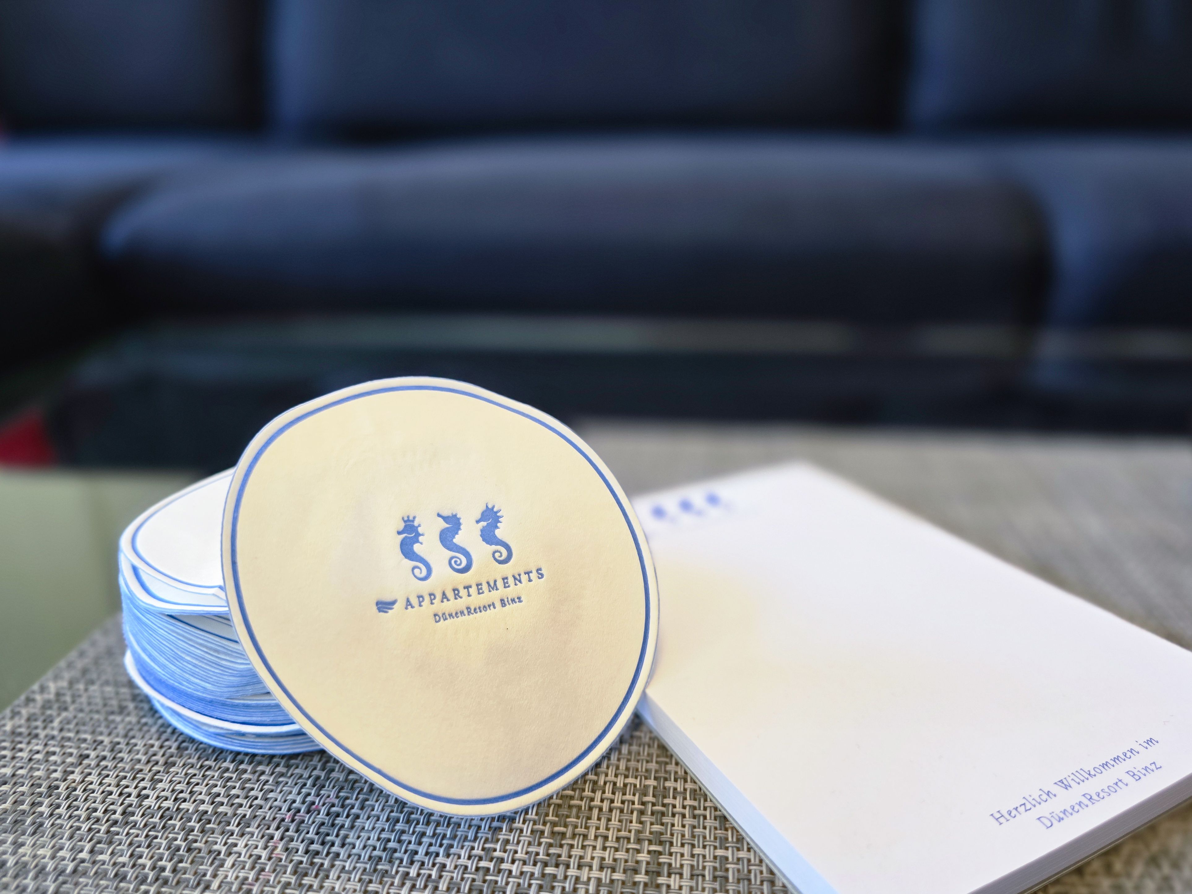 Strandvillen Binz Ferienwohnung mit 1 Schlafzimmer und Balkon (DR/421) Insel Rügen - Dekoratives Detail