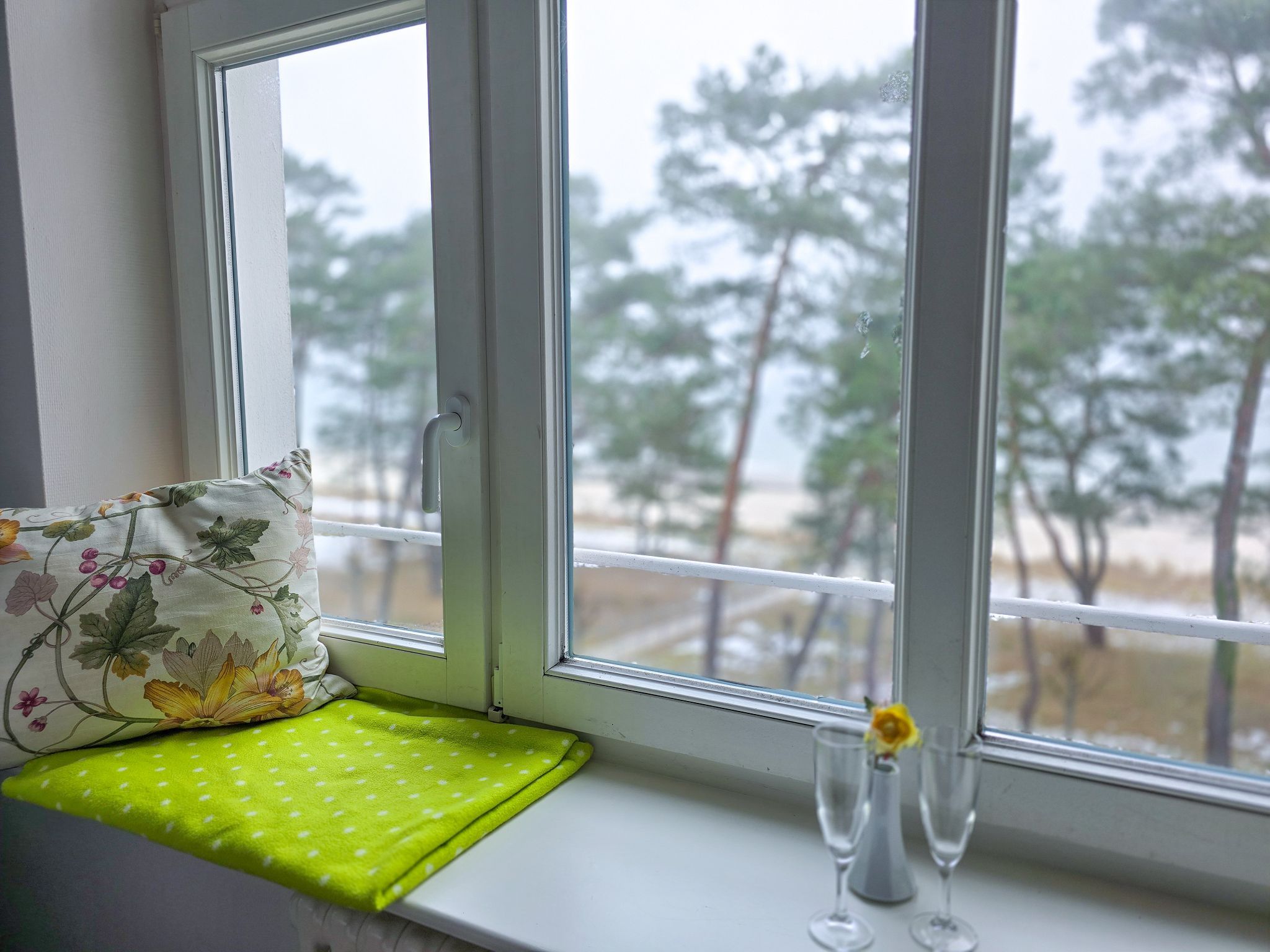 Strandvillen Binz Ferienwohnung mit Meerblick und 1 Schlafzimmer (SV/710) Insel Rügen - Dekoratives Detail