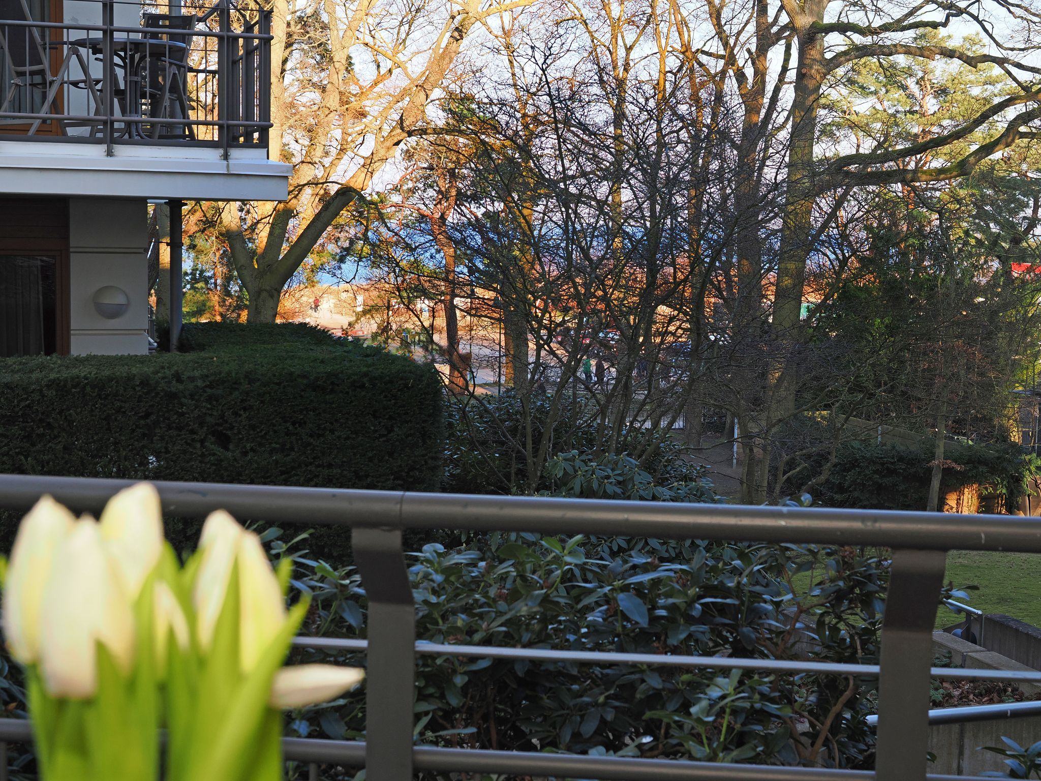 Kaiservillen Heringsdorf Ferienwohnung mit 1 Schlafzimmer und Terrasse (D101) Insel Usedom - Terrasse