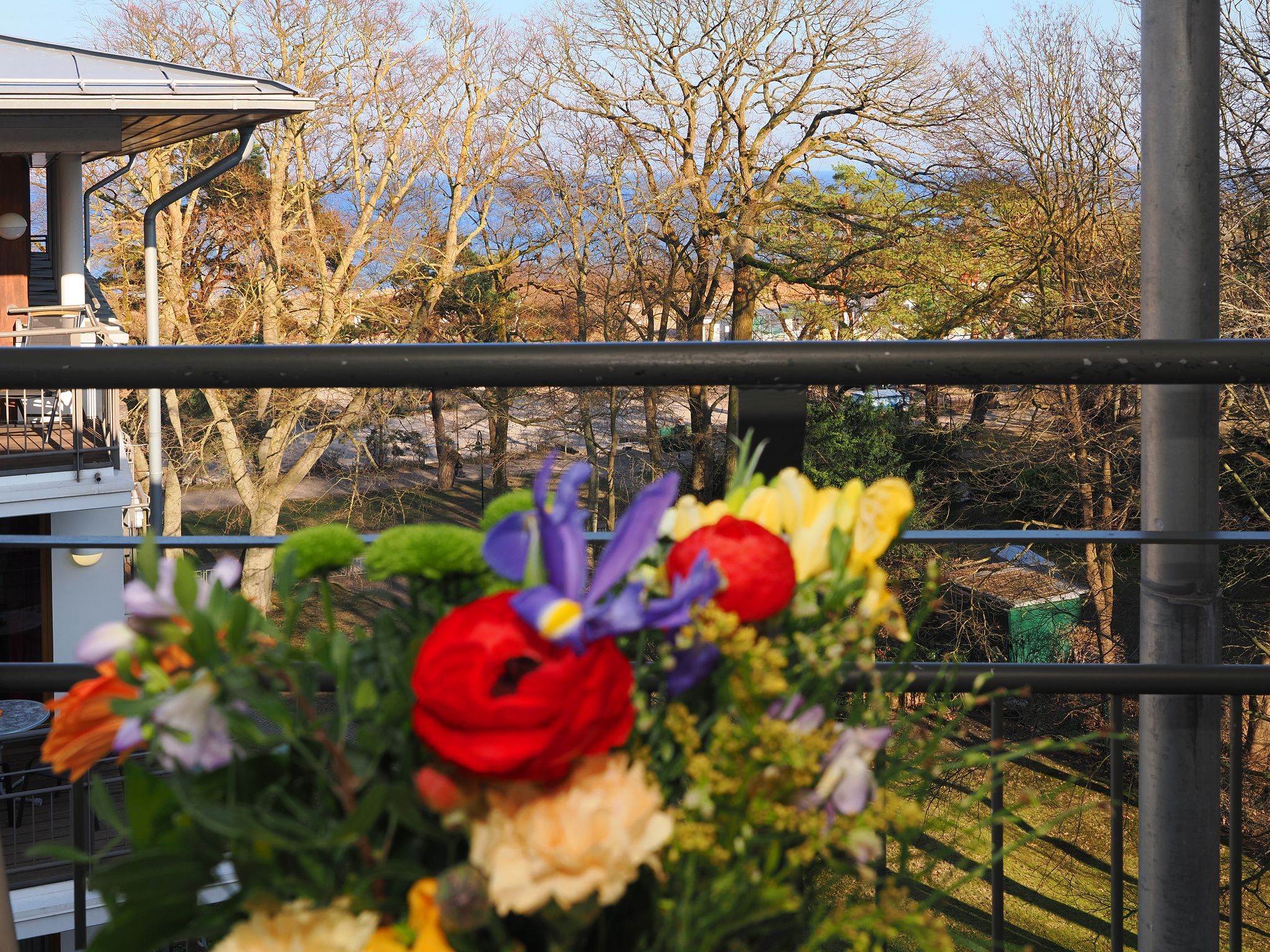 Kaiservillen Heringsdorf Ferienwohnung mit 1 Schlafzimmer und Balkon (D131) Insel Usedom - Balkon